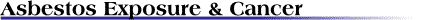asbcancerhdr.gif (1821 bytes)